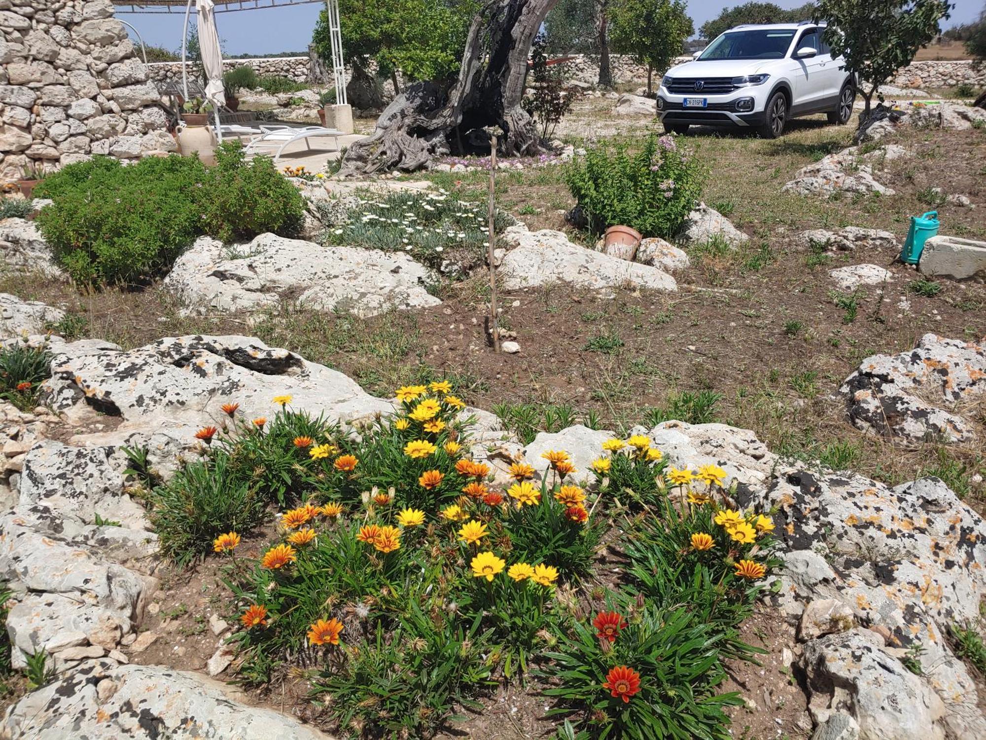 La Nicchia-Trullo Διαμέρισμα Corigliano dʼOtranto Εξωτερικό φωτογραφία